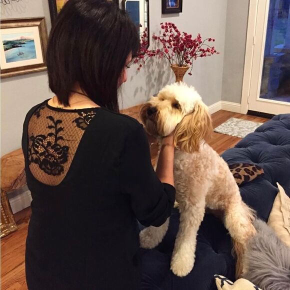 CABI Black Tempest Lace Blouse Long Sleeve Top. Size Small. EUC! - Picture 11 of 11